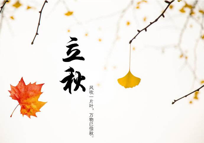 今日立秋，青島瑞普特分享立秋小知識(shí)